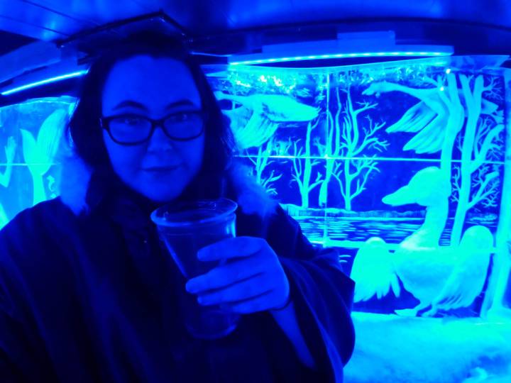 36,37,332,341.524048